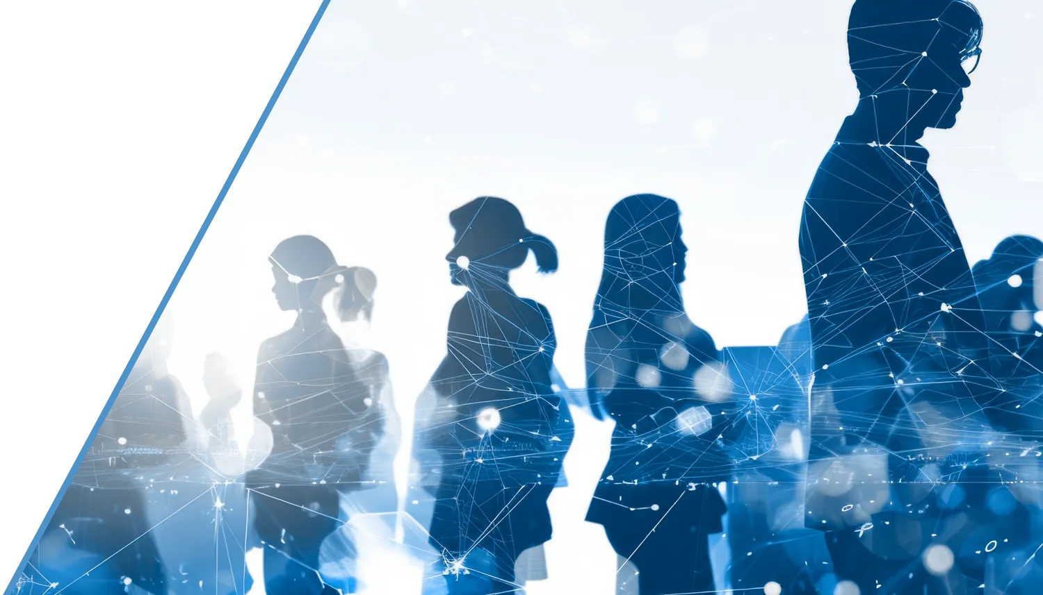 Silhouetten mehrerer Personen vor einem stilisierten Netzwerk-Hintergrund als Sinnbild für das MILES Team
